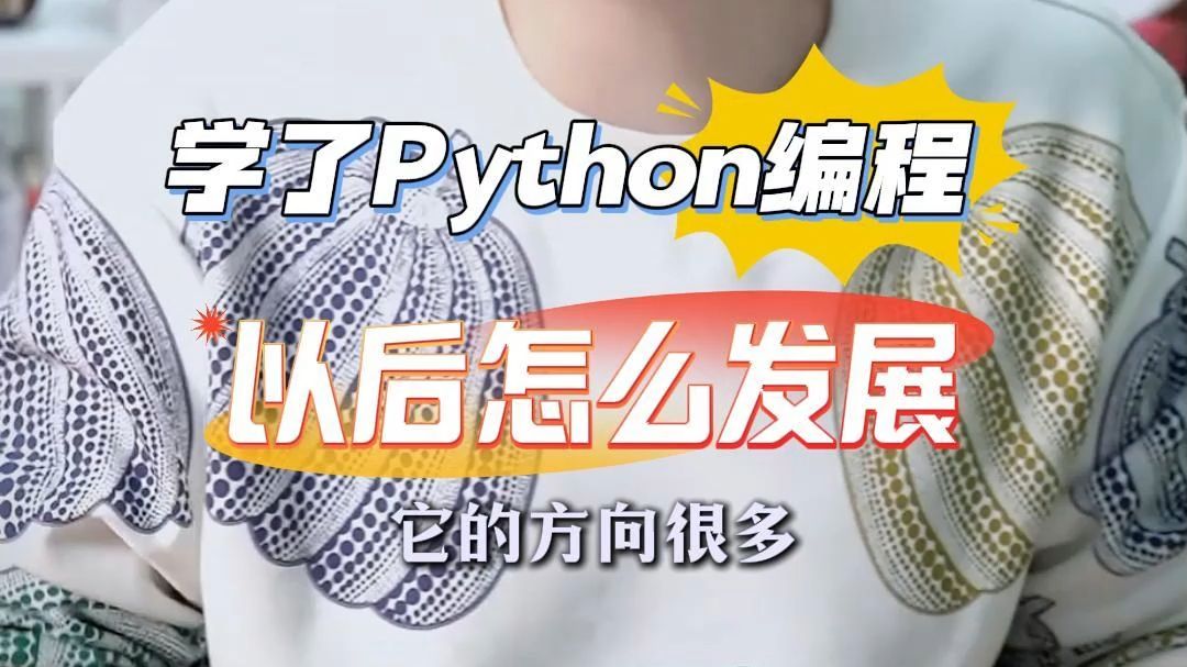 编程语言选了Python,以后怎么发展?哔哩哔哩bilibili