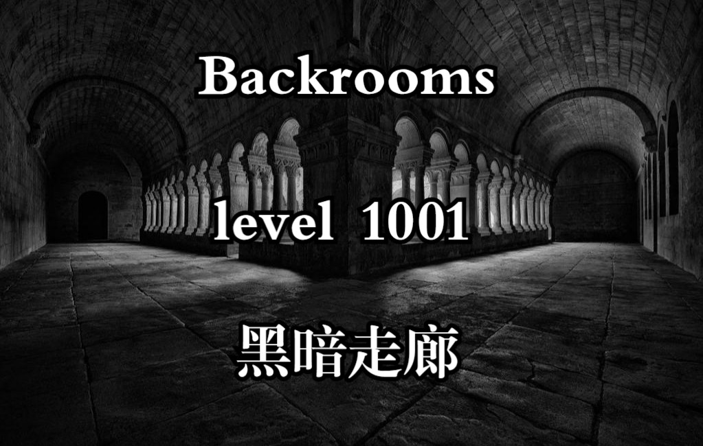 【Backrooms】Level 1001 黑暗走廊哔哩哔哩bilibili