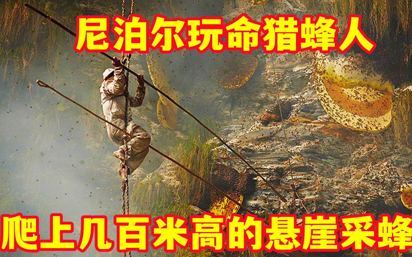 尼泊尔古隆人爬上万丈悬崖,用生命采集蜂蜜,开始前要用活物献祭哔哩哔哩bilibili