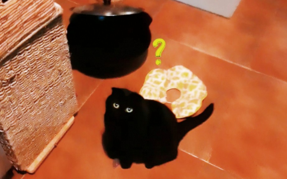 千岁岁曾经表演过铁锅炖自己你们信吗