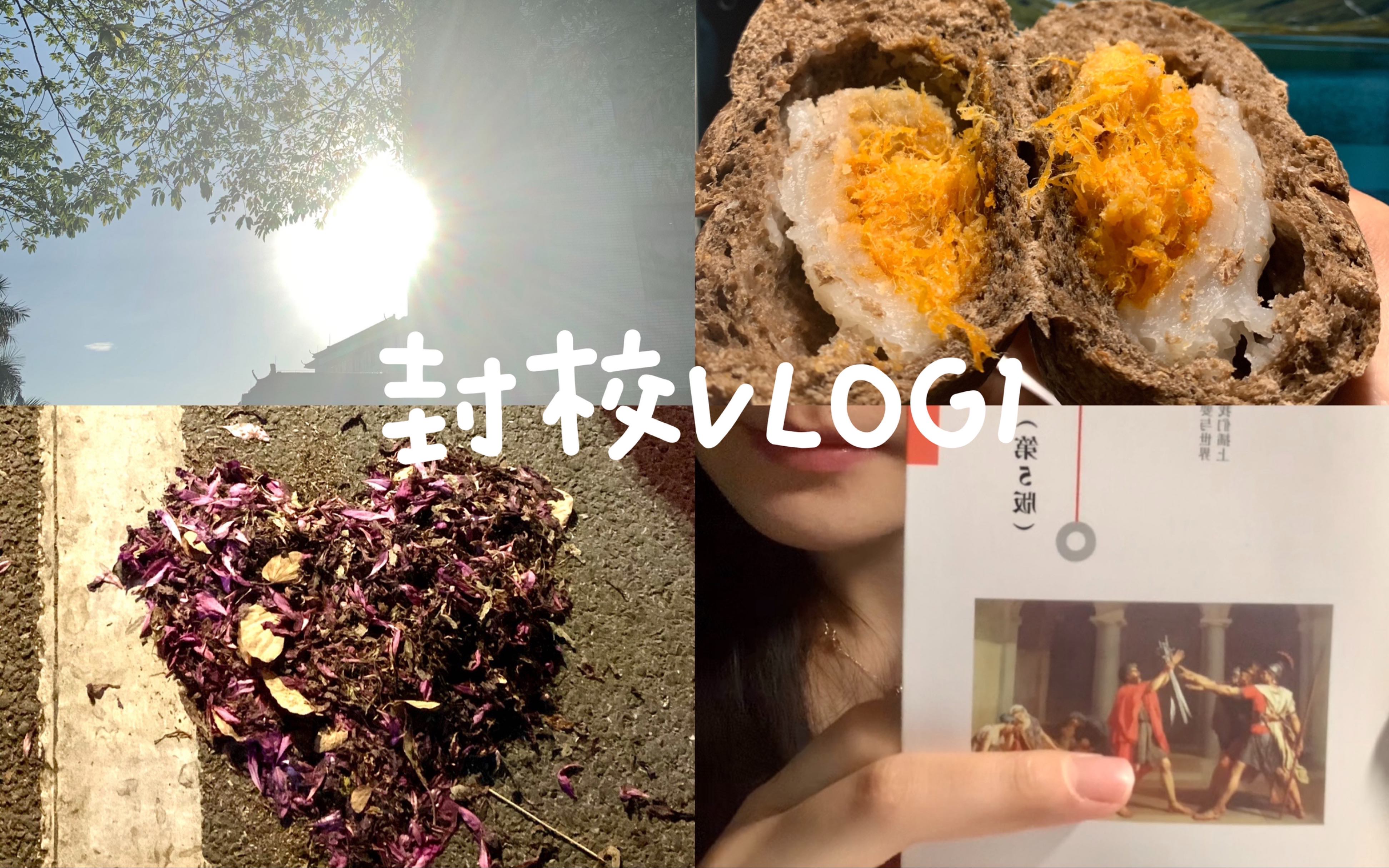 肇庆学院在校vlog|封校后大三学姐的一天哔哩哔哩bilibili