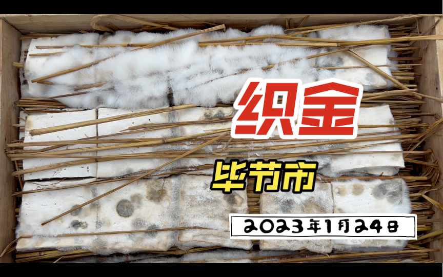 2023年1月24日(正月初三) 毕节市织金县哔哩哔哩bilibili