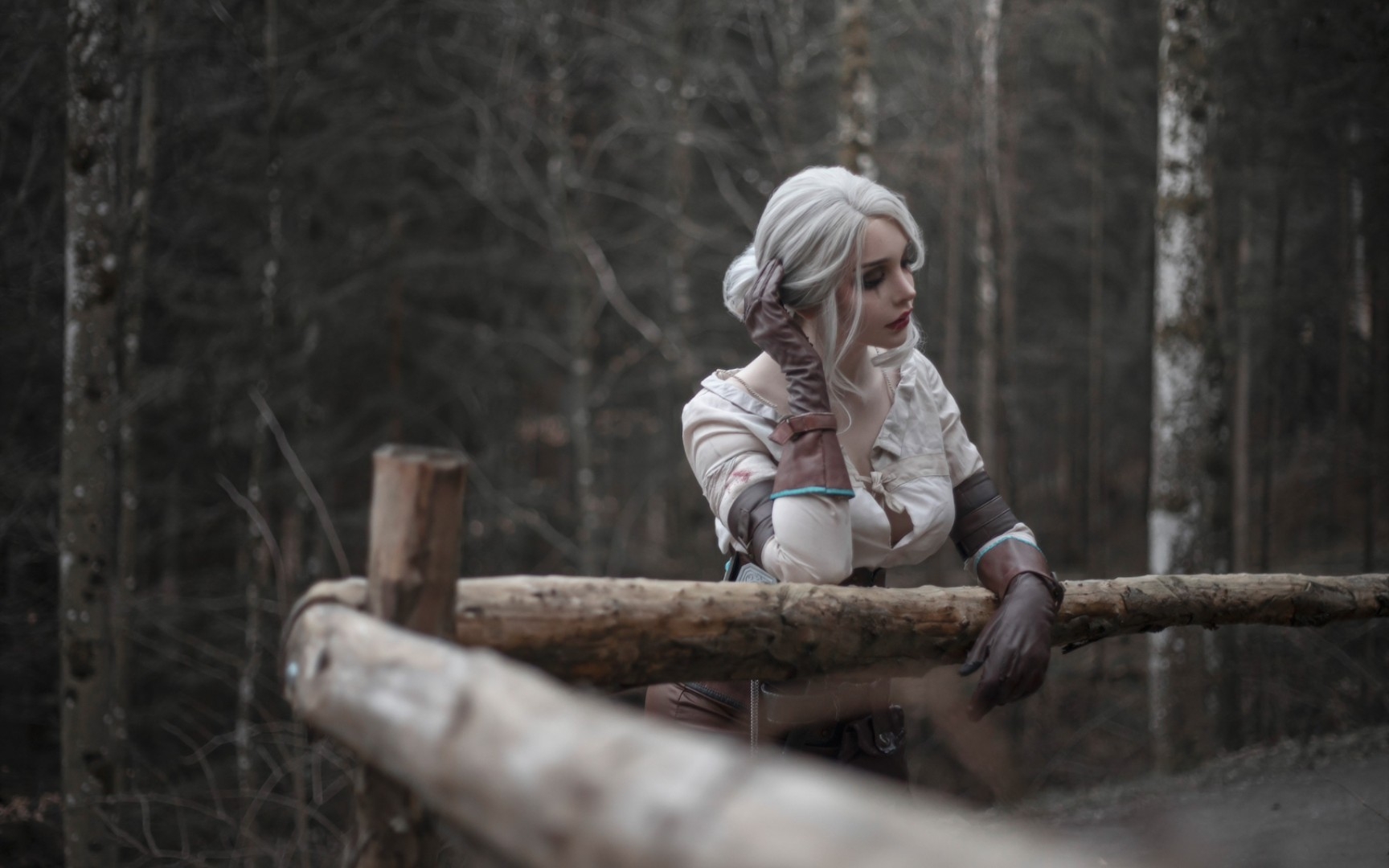 sayathefox - 巫师:希里_巫师