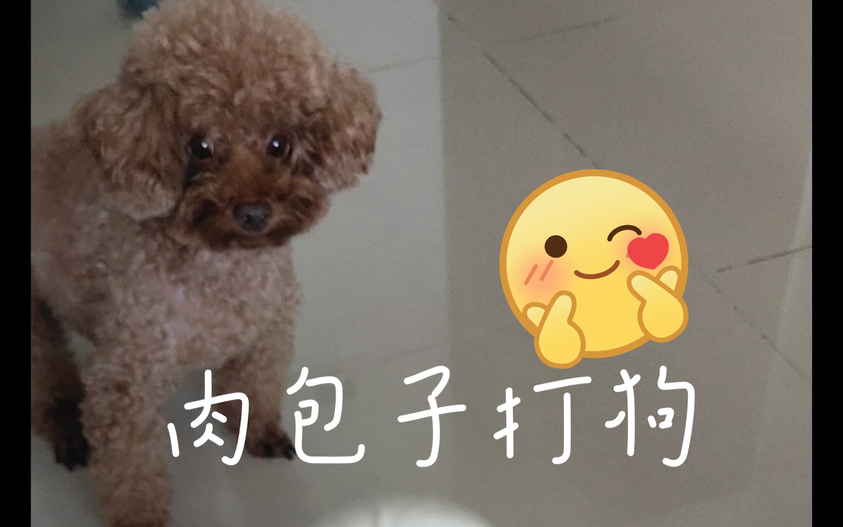 今天壮哥为大家倾情演绎一句歇后语:"肉包子打狗,有去无回"9898