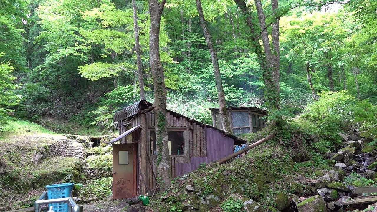 山间水边小屋,坚果以及天妇罗 源流の山小屋と木の実と天ぷら