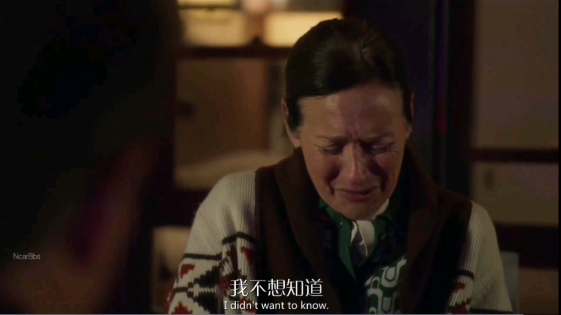 《菜鸟老警》被记者逼疯的杀人犯妻子