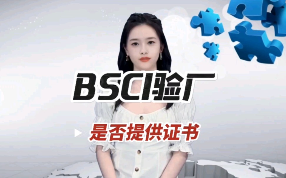 通过BSCI验厂有没有证书?BSCI验厂审核等级如何划分?哔哩哔哩bilibili