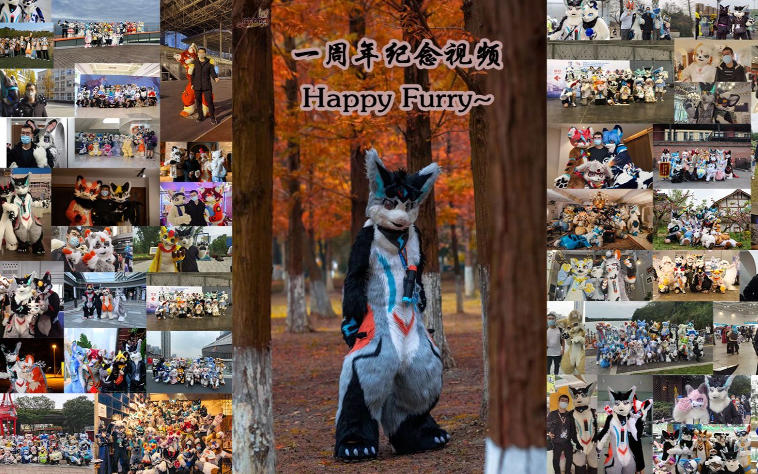 【FURRY】一周年快乐!入坑furry一周年纪念视频~哔哩哔哩bilibili