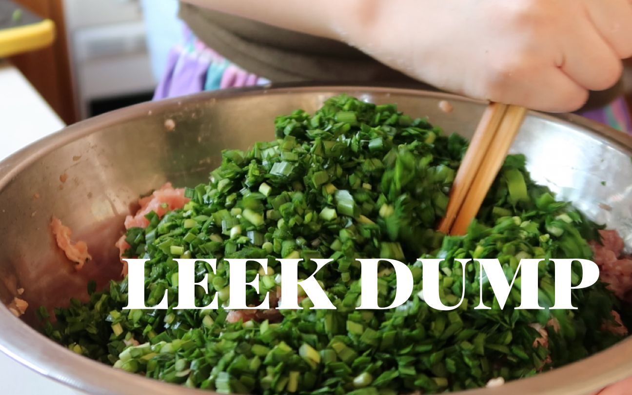 leek dumpling图片