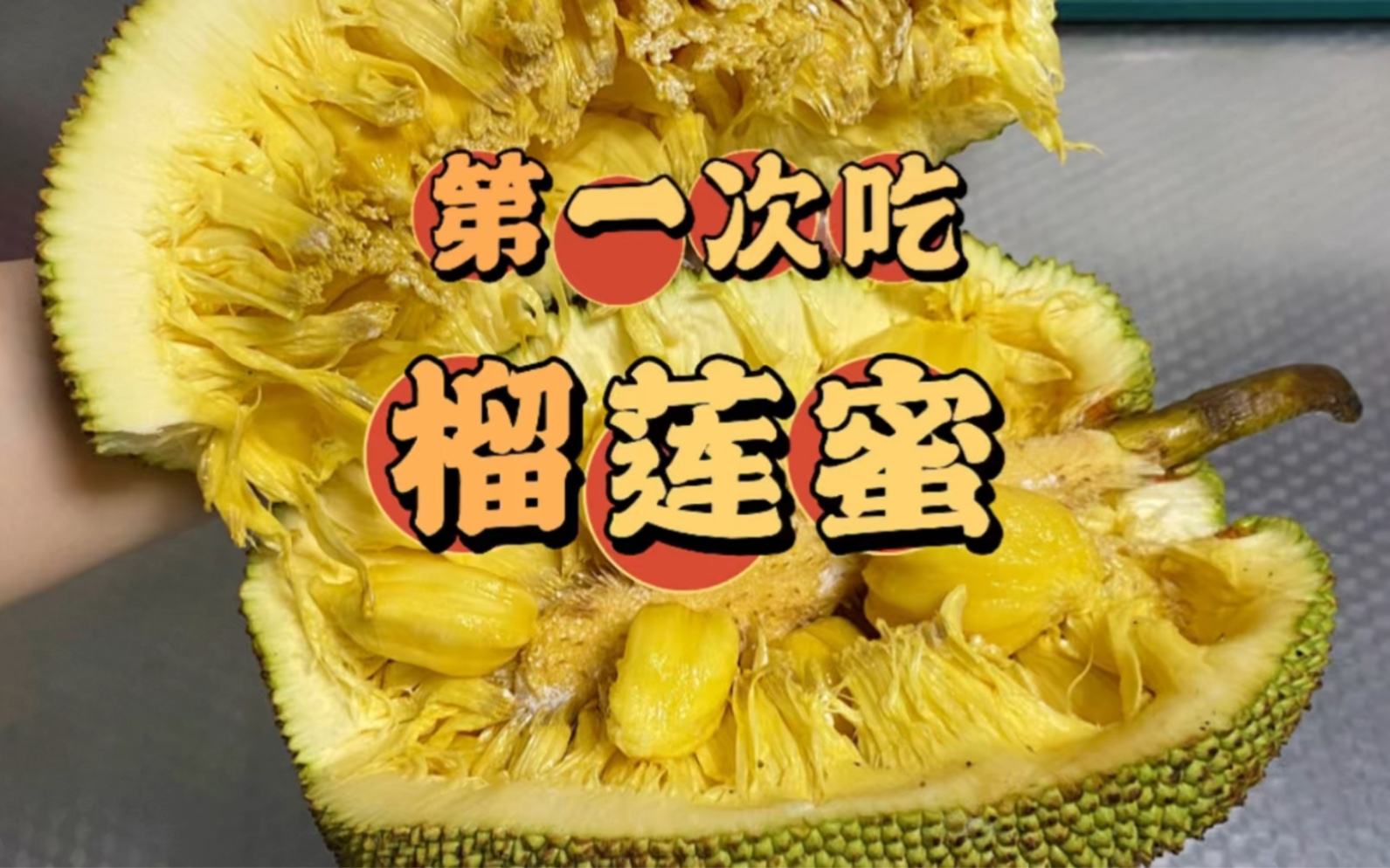 第一次吃榴莲蜜,是榴莲还是菠萝蜜的味道,真的太甜了!