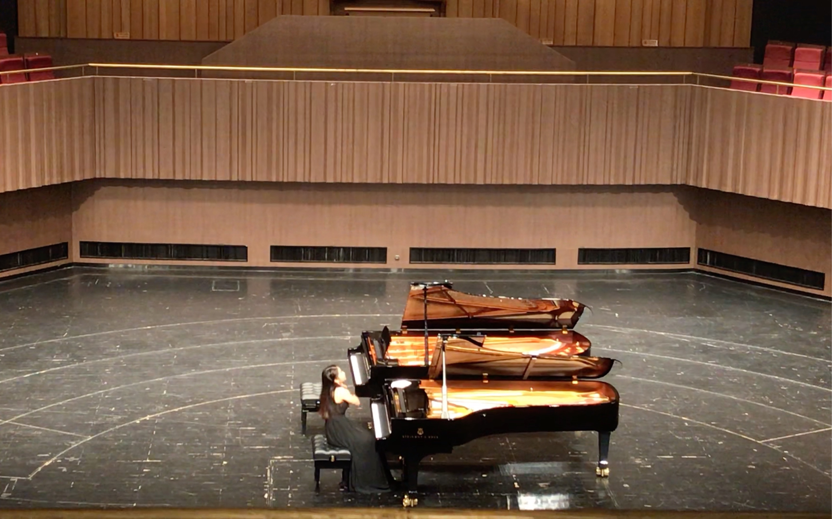 brahms piano sonata no.3 op.5  mov.3rd