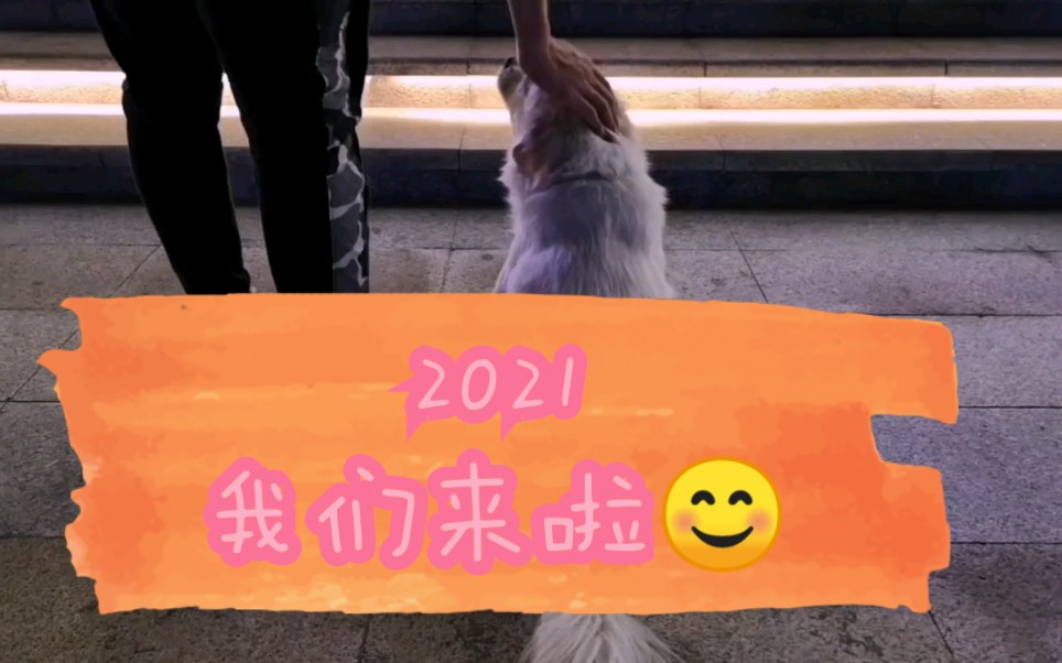 2021年多多关照图片图片