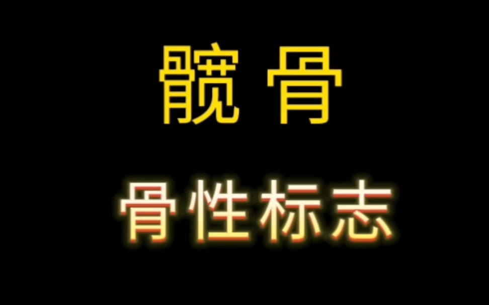 髋骨的骨性标志,借用大白讲解一目了然,也更清晰哔哩哔哩bilibili