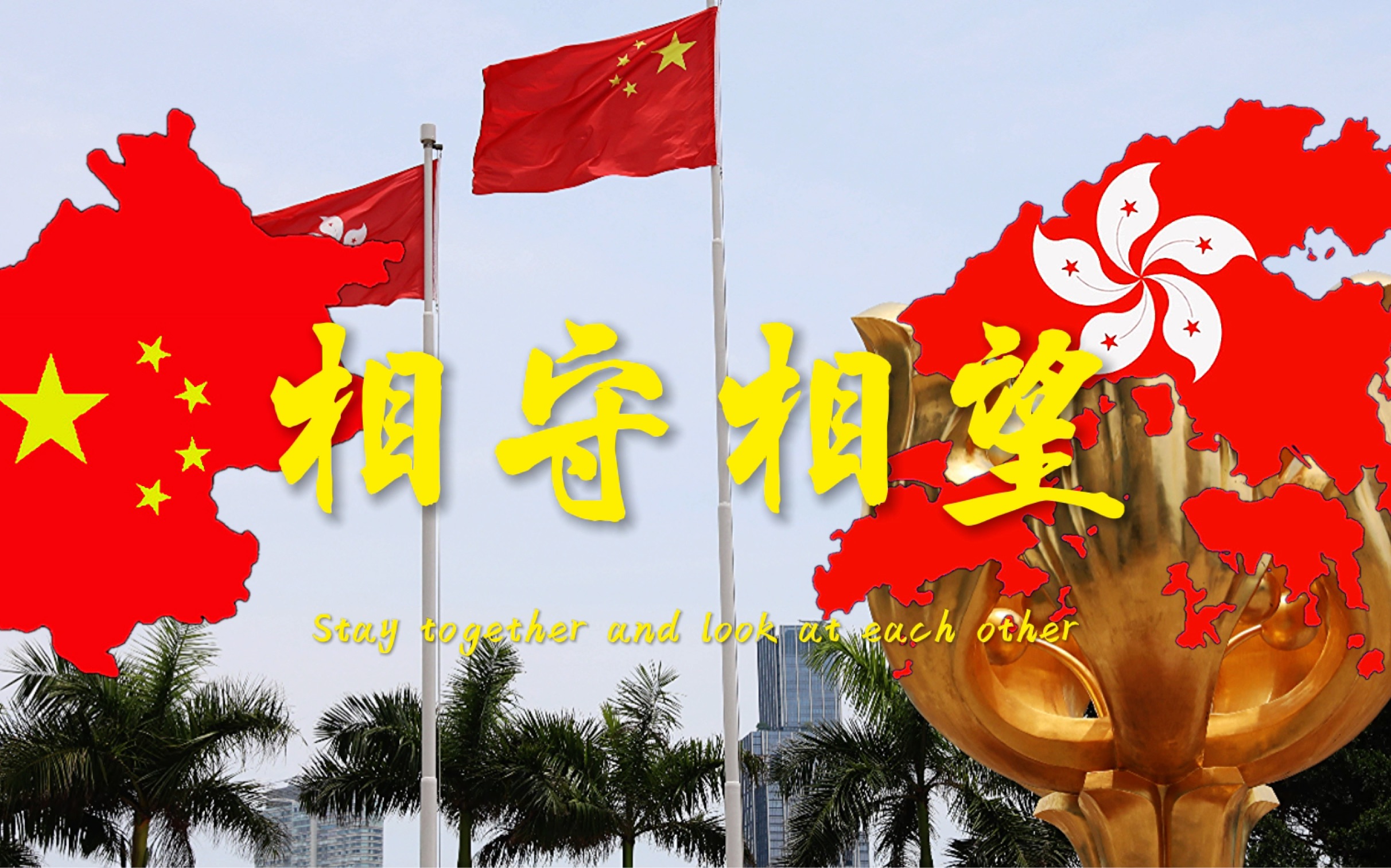 【otl香港回归26周年】紫荆花盛开 - bauhinia in full bloom