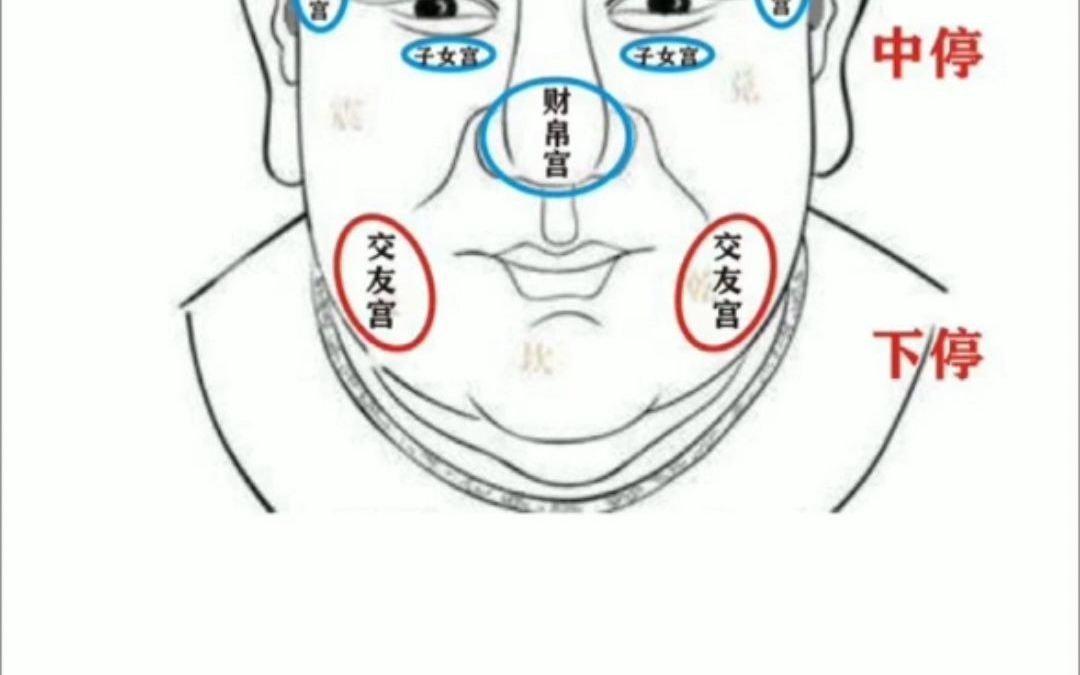 [图]麻衣相法之十二宫位置分布