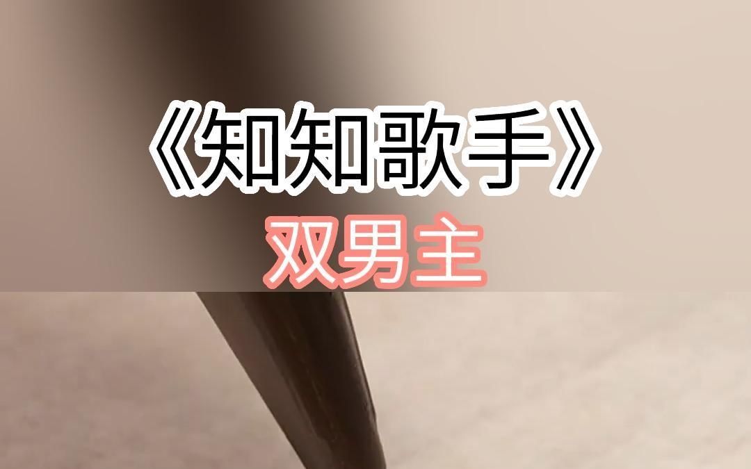 知知歌手哔哩哔哩bilibili