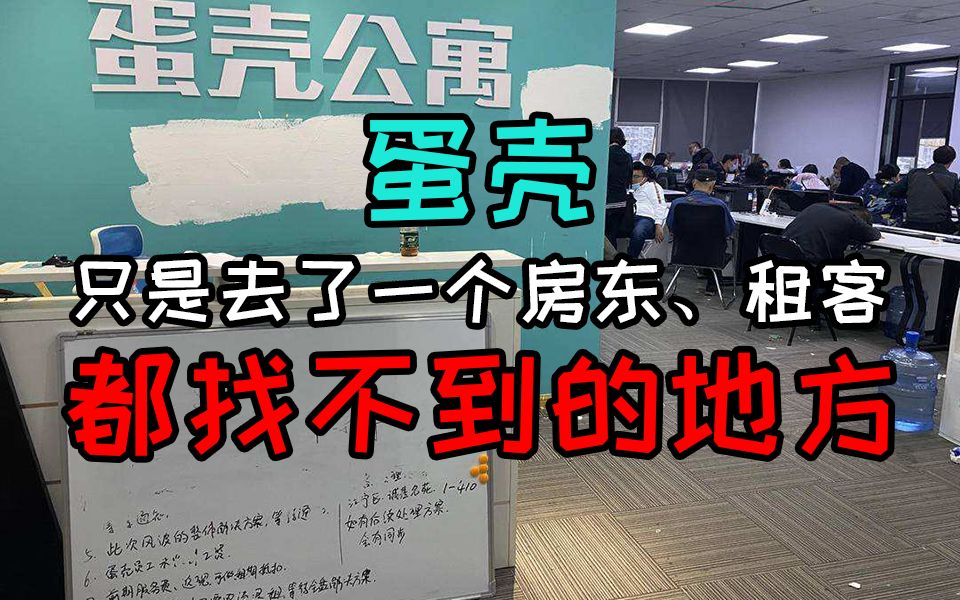 承诺不跑路的蛋壳,只是去了一个房东租客都找不到的地方哔哩哔哩bilibili