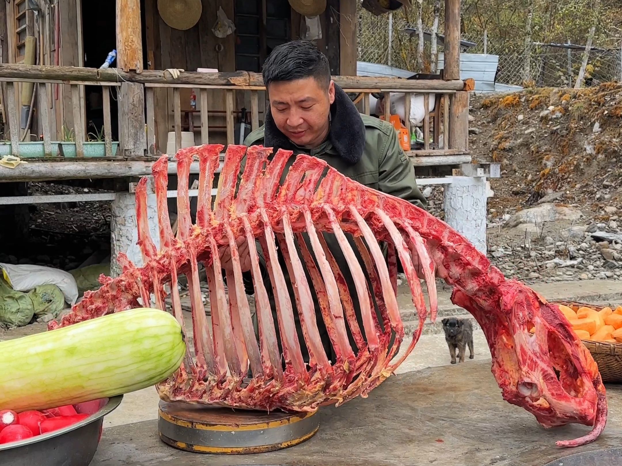 牛骨骨架分解图图片