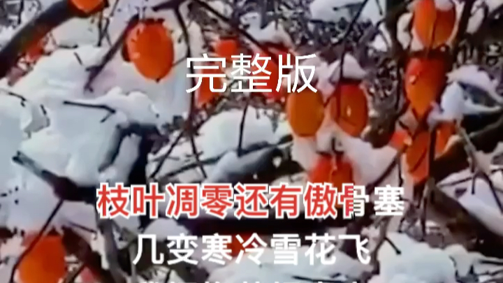 [图]一首极其美妙的歌曲《梅花赋》