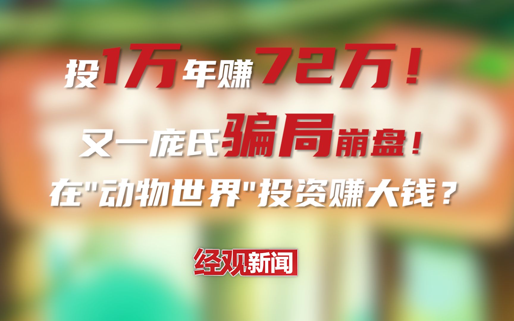 动物世界APP投1万年赚72万?又一庞氏骗局崩盘!哔哩哔哩bilibili