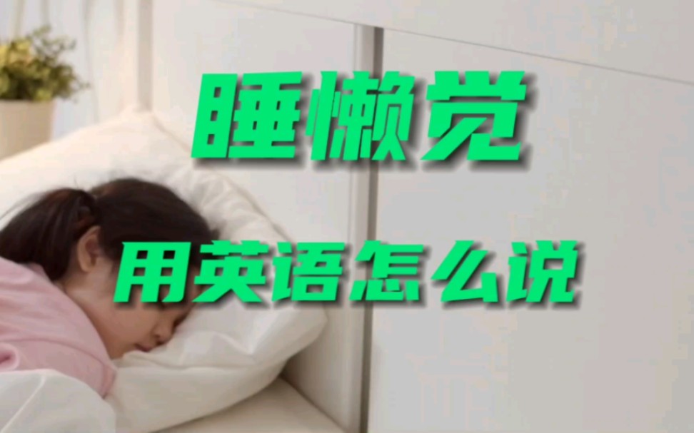 睡懒觉用英语怎么说哔哩哔哩bilibili