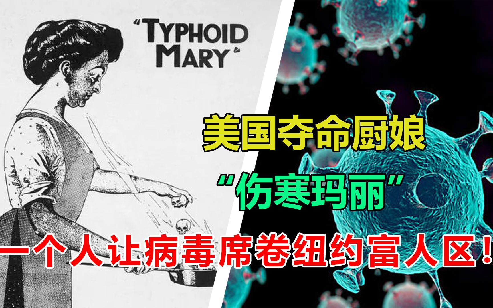 伤寒玛丽这个厨子餐前便后从不洗手最终被判终身隔离