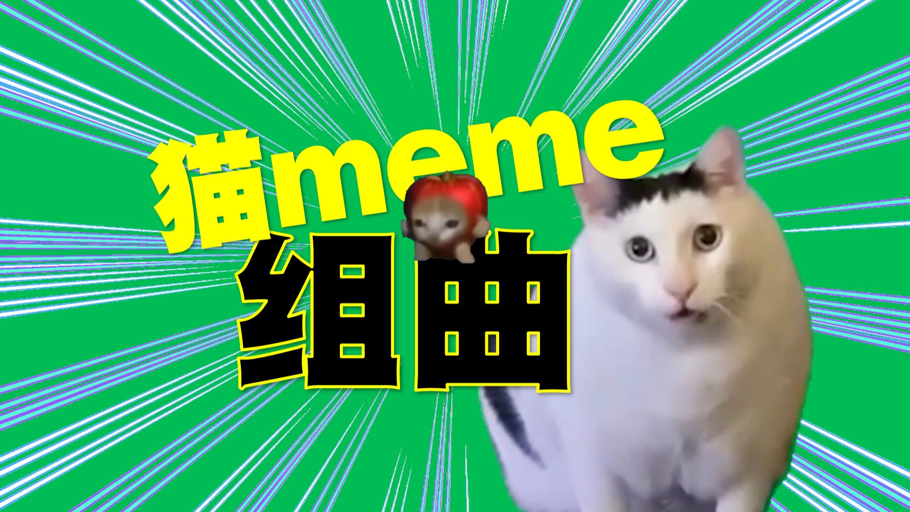 [图]猫meme组曲——一口气听完14首猫meme！