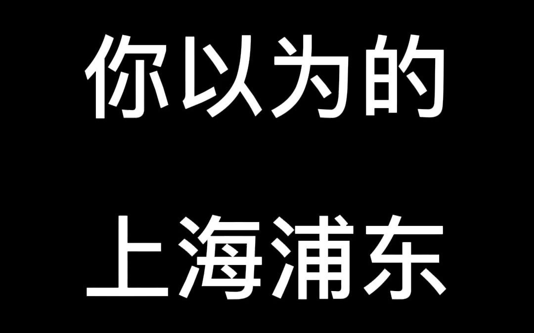 你以为的上海浦东哔哩哔哩bilibili