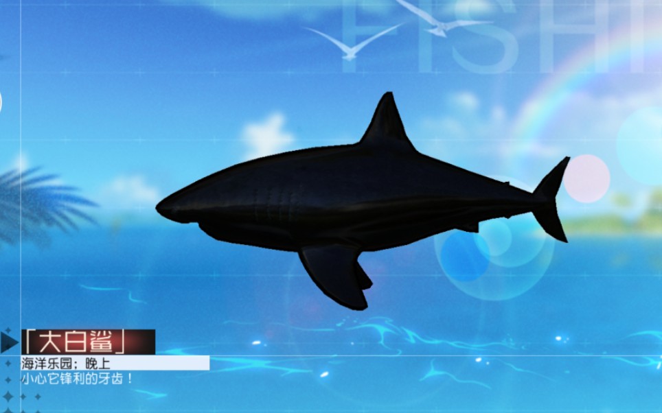 永远的七日之都笑死大黑鲨