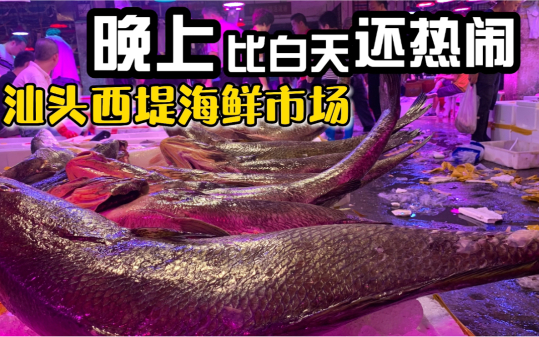 广东汕头西堤海鲜市场 凌晨三点渔船靠岸就开卖 大虾10元鲳鱼12元鲨鱼16元 贵不贵?哔哩哔哩bilibili