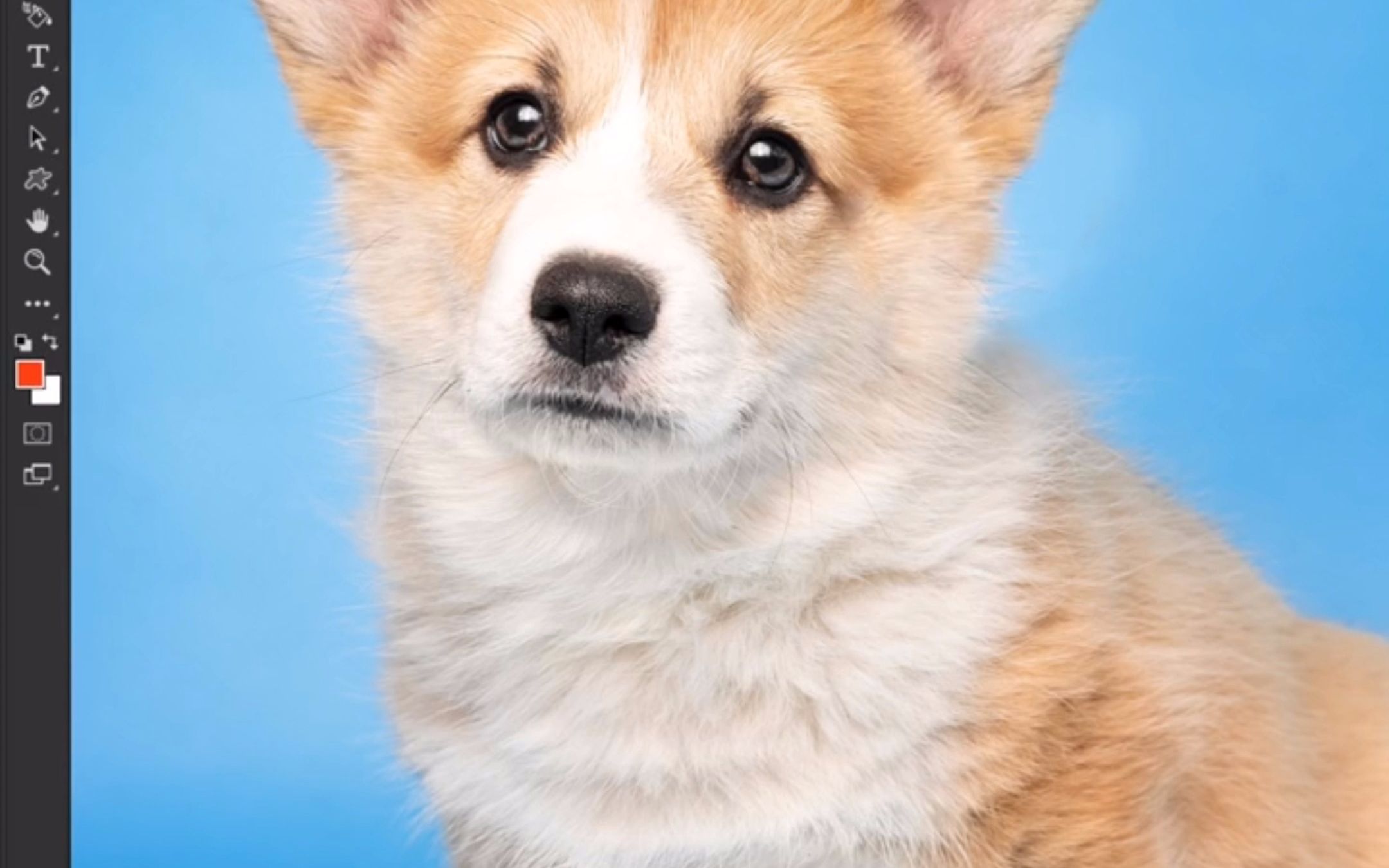 仿制图章工具你真的会用吗?快来学习这个小技巧,10秒学会