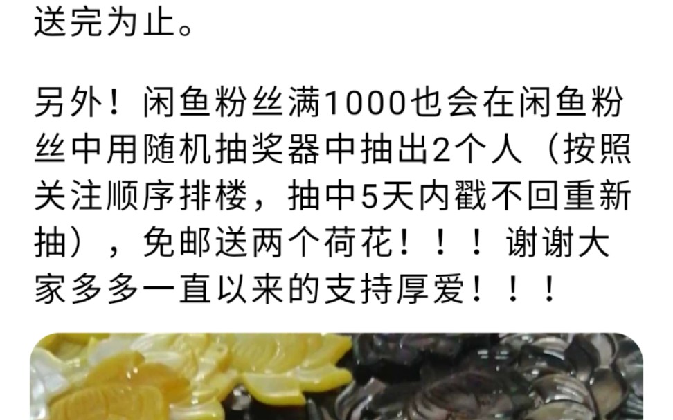 闲鱼1000粉付邮送抽奖蝶贝荷花哔哩哔哩bilibili