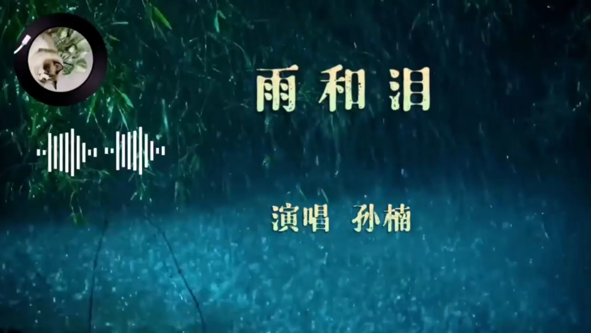 [图]分享孙楠的一首《雨和泪》，太动听了，百听不厌！