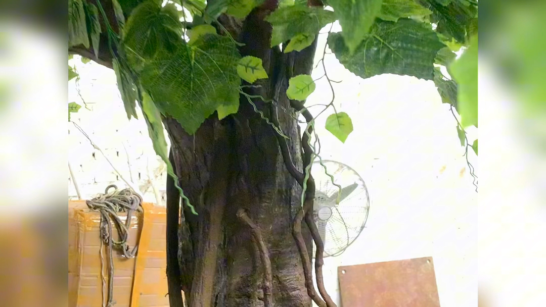 室内造景假树仿真葡萄树商场展厅装饰仿真绿植定制