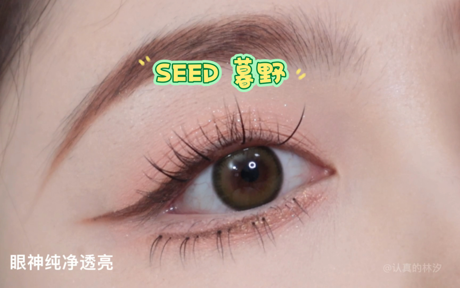 无滤镜试色SEED 暮野 丛林里迷失的小精灵哔哩哔哩bilibili