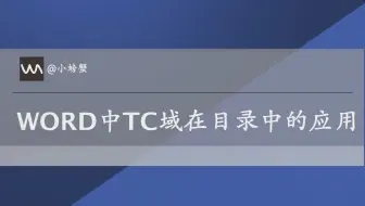 WORD的TC域在自动目录中的特殊应用