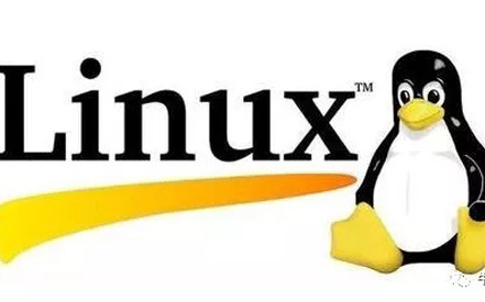 【Linux运维】进阶篇Linux网络服务管理 兄弟连新版完整版哔哩哔哩bilibili