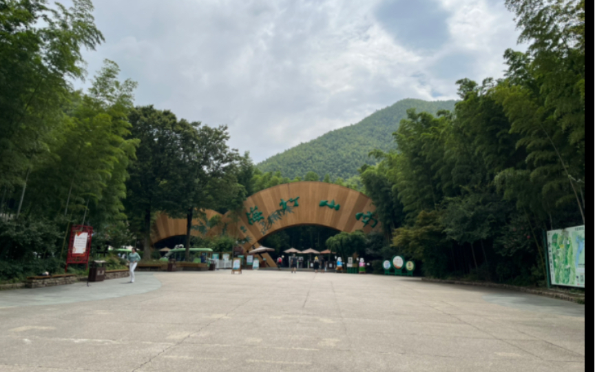 今年八月底,我们一起去了常州溧阳的南山竹海,很久没有一起外出旅行了