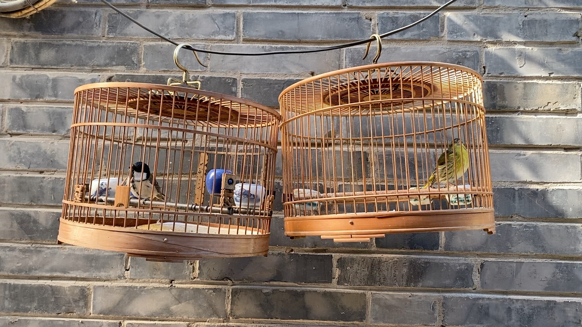 帝都二环提笼架鸟的生活