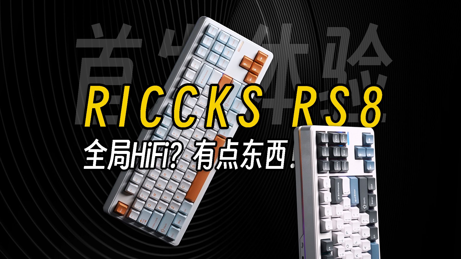 99起!全局HiFi!80卷王终结者?RICCKS RS8哔哩哔哩bilibili