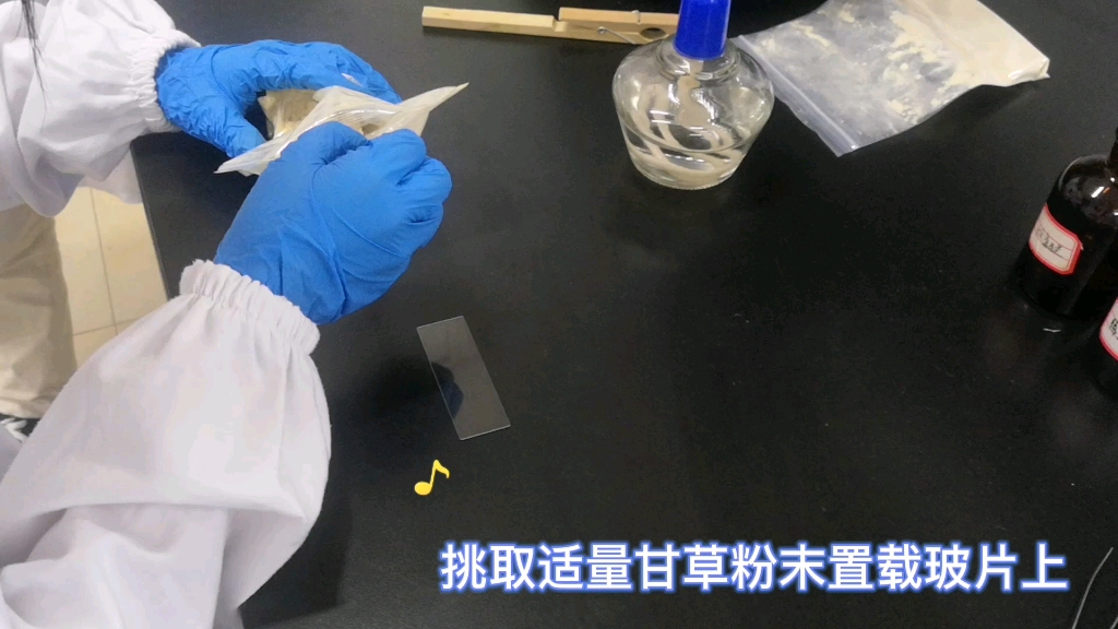 生药学实验粉末制片哔哩哔哩bilibili