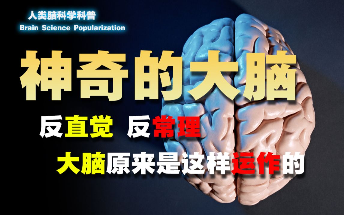 [图]【脑科学】早该知道大脑是这样运作的，大脑的底层原理，学霸必备技能。