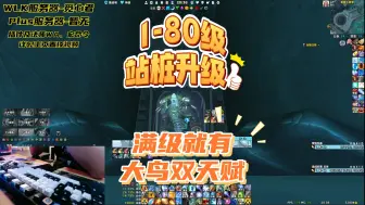 Tải video: 1-80级站桩升级~满级2万G以上，大鸟、双天赋随便学！