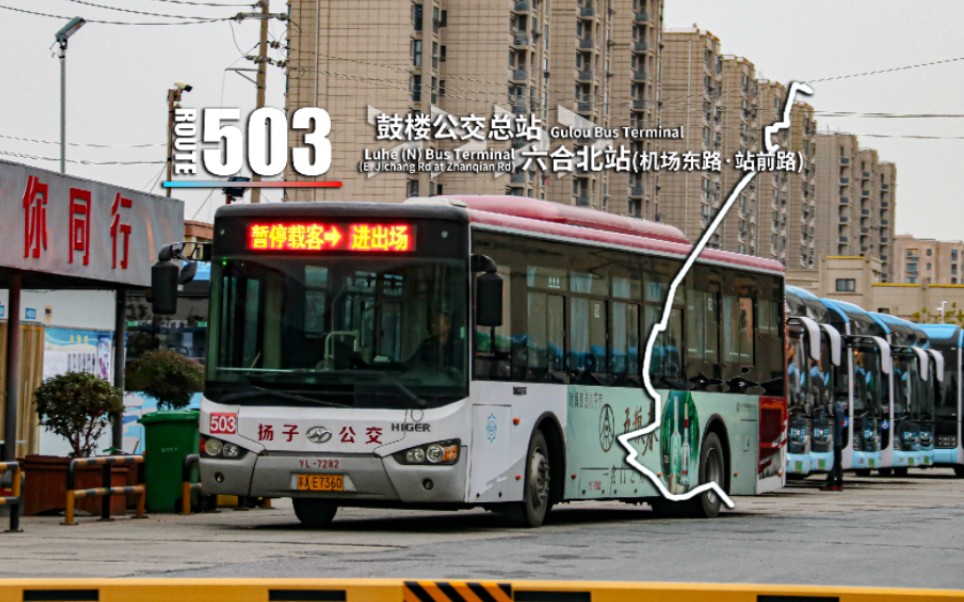 {六合三巨头}[南京扬子公交]503路 鼓楼公交总站-六合北站(机场东路