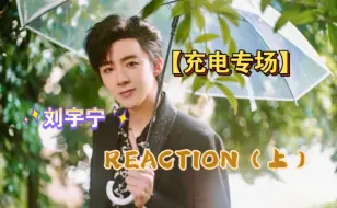 Download Video: 【充电专场|刘宇宁reaction(上）】看哭了，有梦想的人不该被嘲笑!