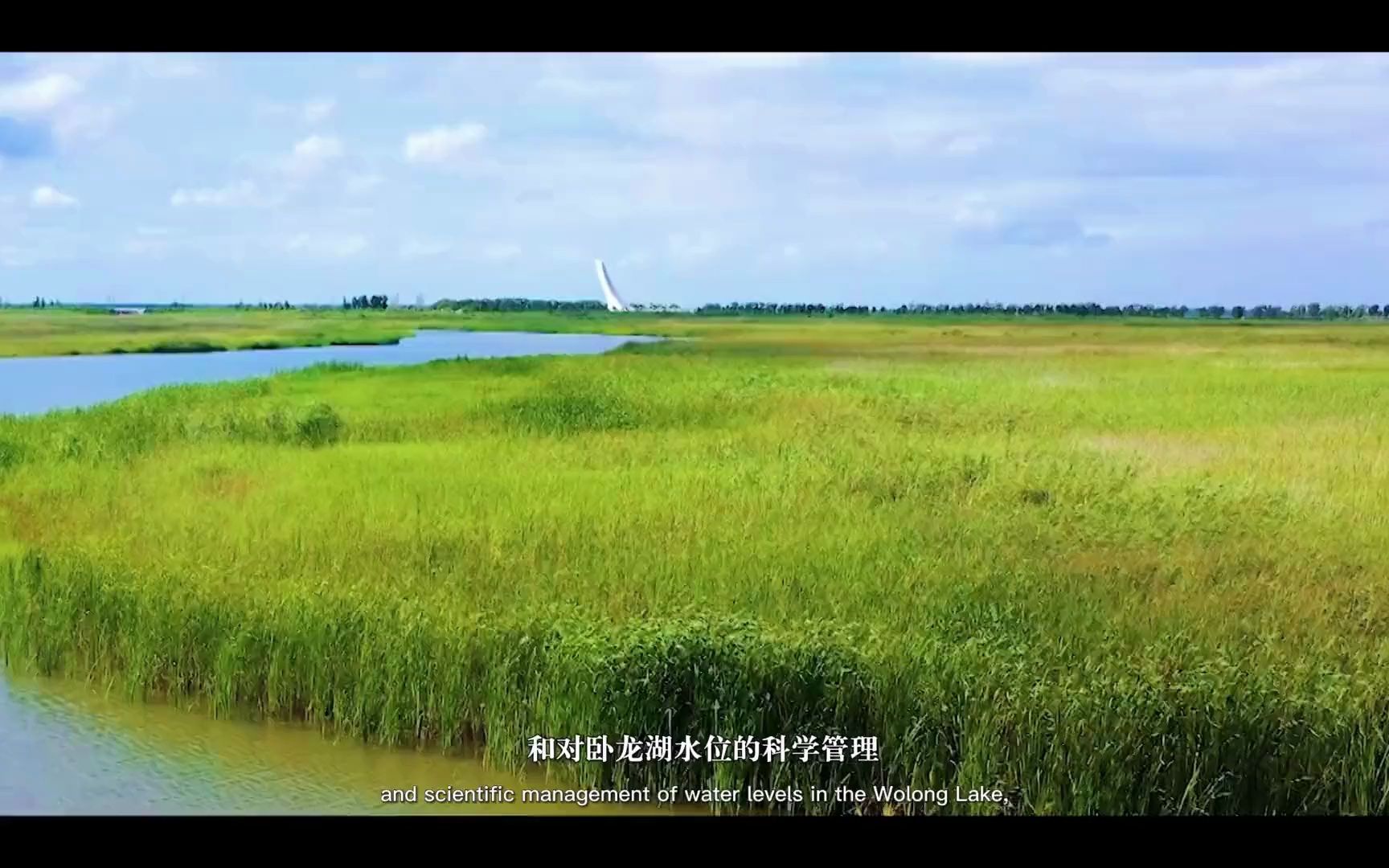 辽宁沈阳卧龙湖湿地生物多样性保护哔哩哔哩bilibili