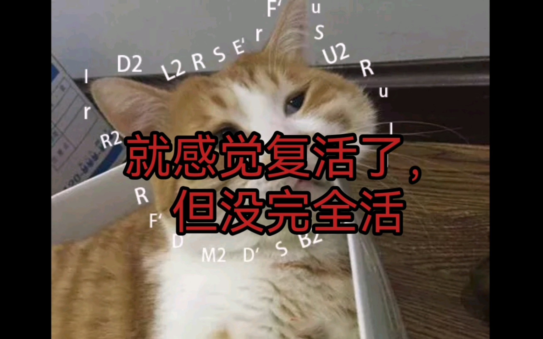 【情怀】把死去的第一个魔方拯救到半死不活