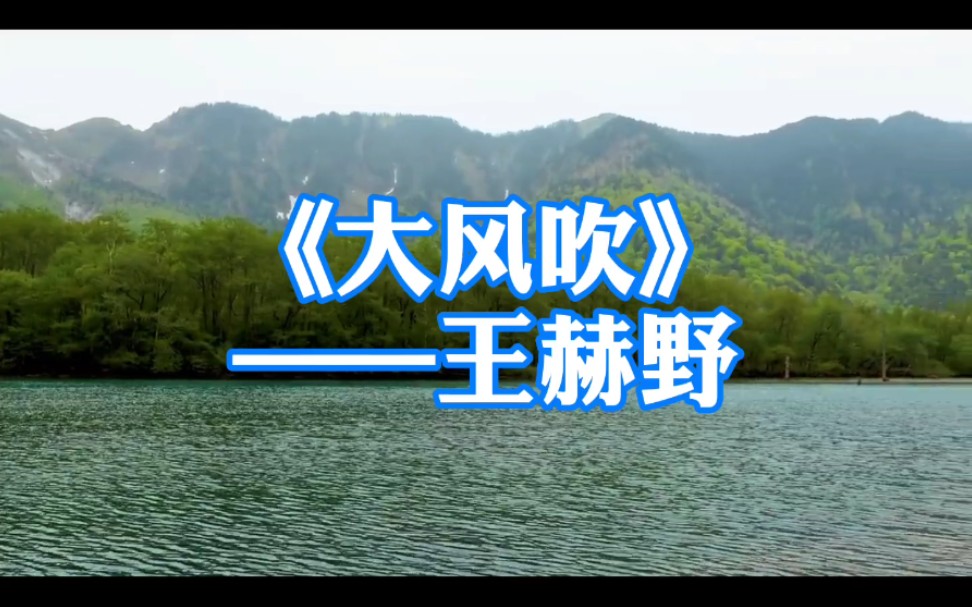 活动作品网络热歌大风吹王赫野