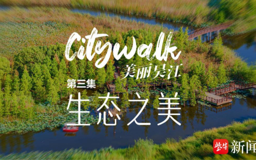 citywalk美丽吴江|第三集 生态之美哔哩哔哩bilibili