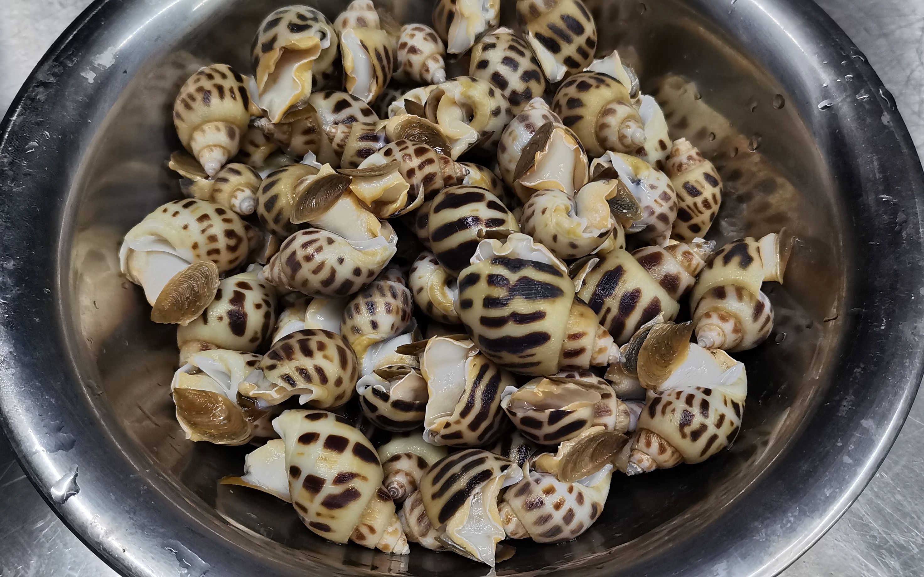 大厨分享一道酒店粤菜"盐焗花螺"做法正宗_哔哩哔哩_bilibili